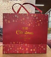Christmas Bag